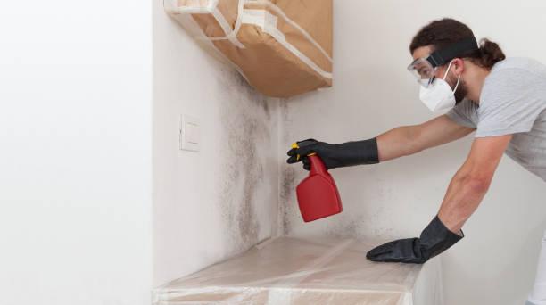 Professional Mold Cleanup technician working in Mountainside, NJ