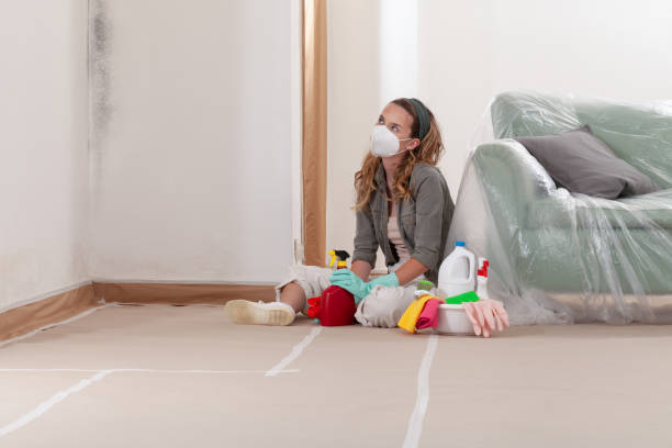 Reliable Mold Cleanup contractor in Mountainside, NJ by WQB Mold Removal